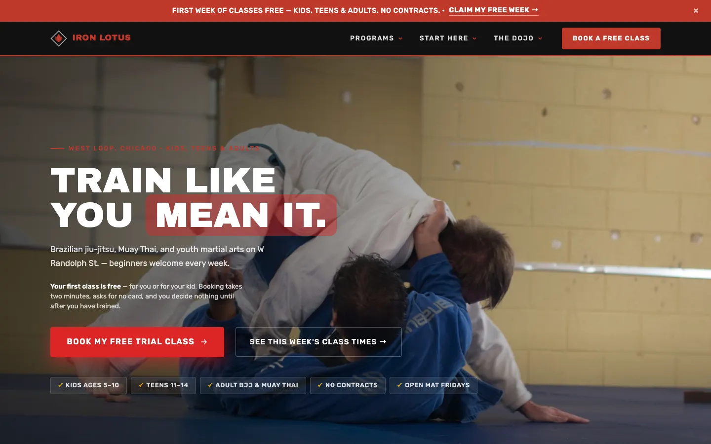 Screenshot of Iron Lotus Martial Arts, a Martial Arts website built on WorkspaceCMS — Program Cards by Age & Discipline + Free Trial CTA.